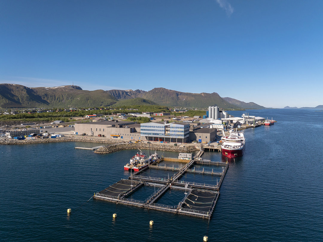 Bilder: Nordlaks Bilder: Nordlaks